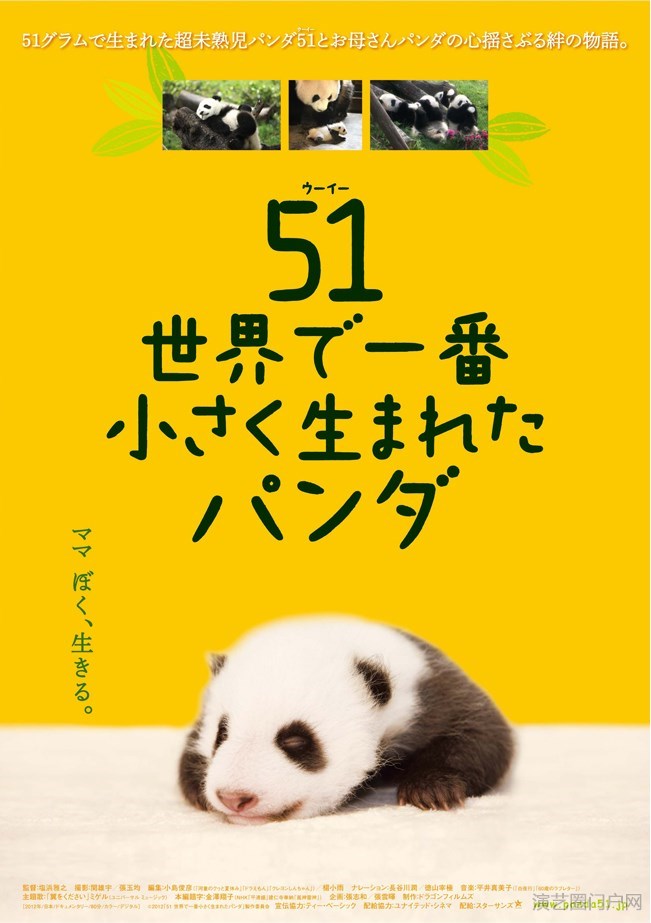 电影大熊猫51的故事剧情